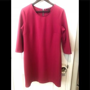 Daisy Fuentes Pink Dress